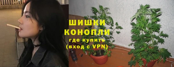 мяу мяу мука Аркадак