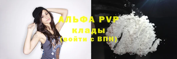 мяу мяу мука Аркадак
