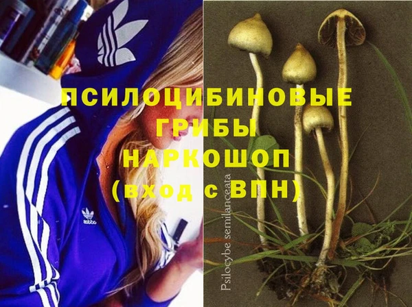 марихуана Арсеньев