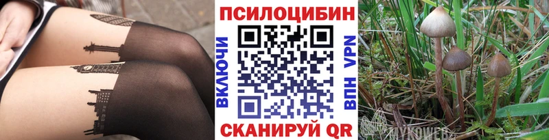 Галлюциногенные грибы мицелий  Тейково 
